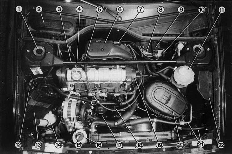 История и обзор модели Renault 19